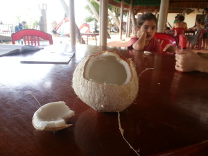 mui-ne-coconut