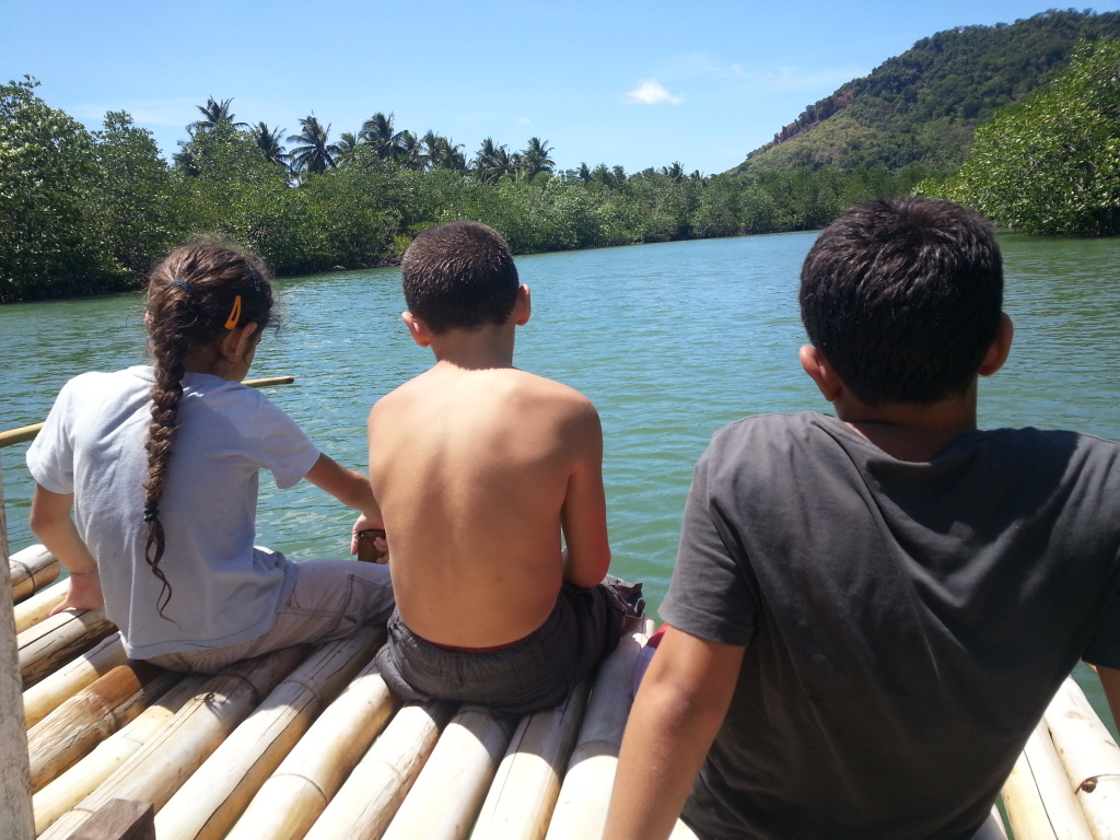 A tour on the river by the mangrove