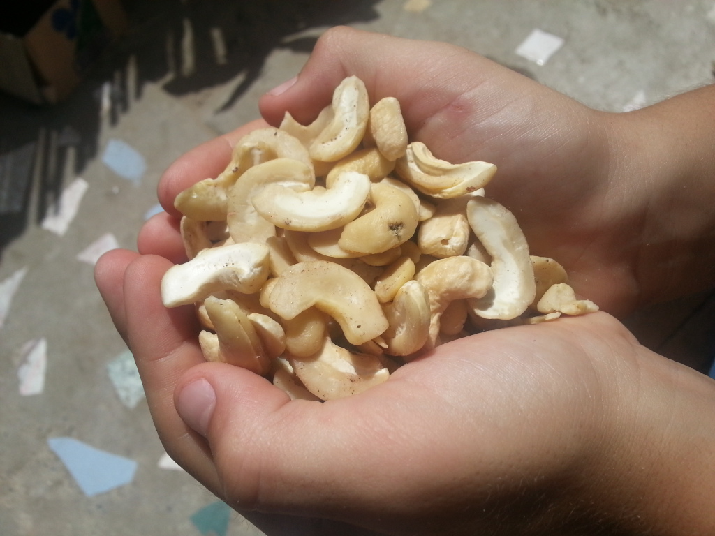 Cashewnuts. Locally grown in Palawan.