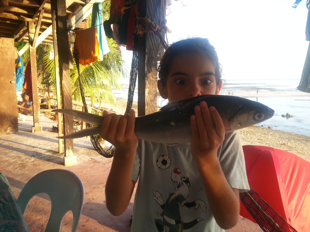Fresh fish supply all day long. In this case - Milkfish.