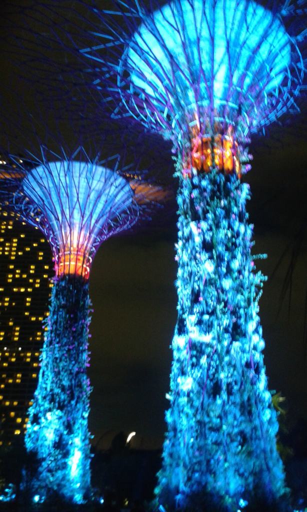 The Gardens by the bay, Singapore