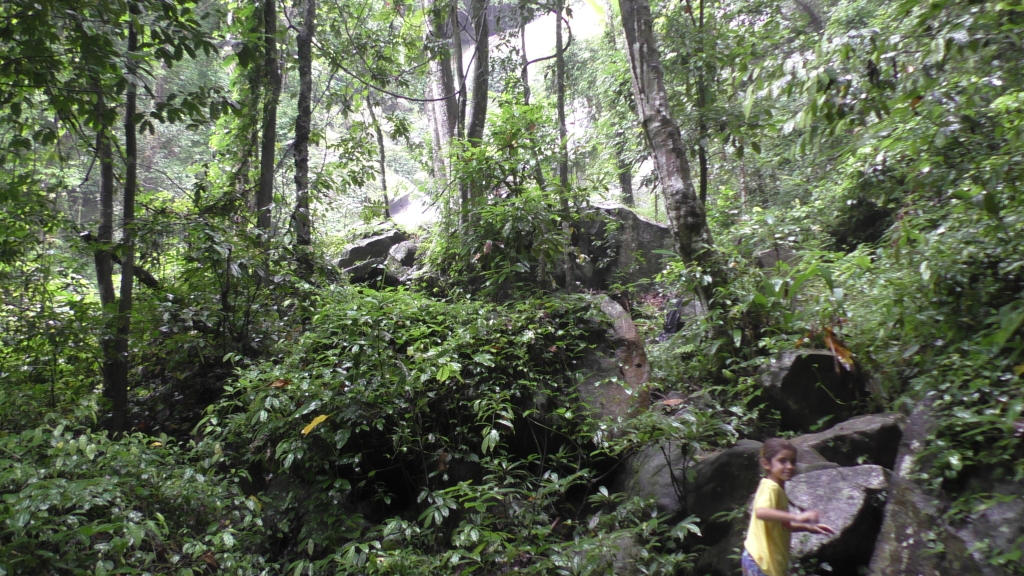 The jungles in North Thailand, near Chiang Rai.