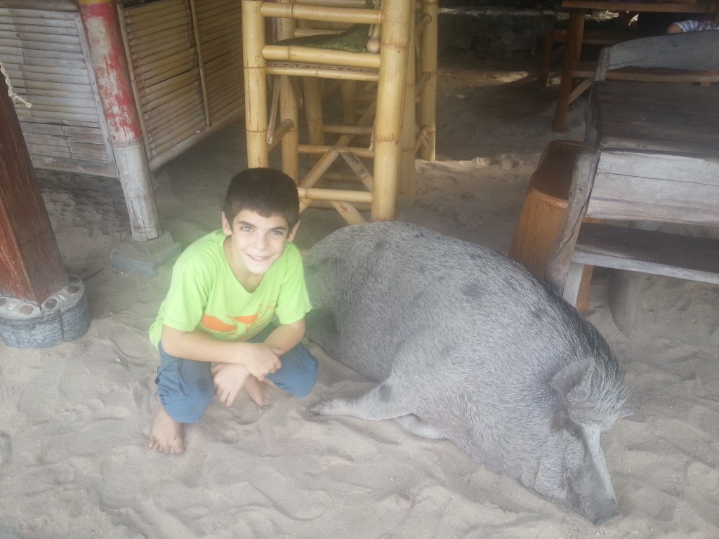 Meet Dukdik the pig at Maguy's place in Chaloklum