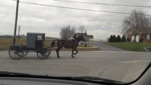 amish_carriedge